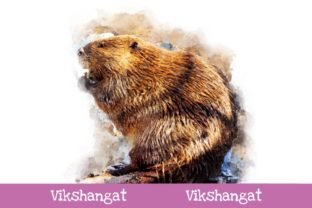 American Beaver Watercolor Art Illustrations
