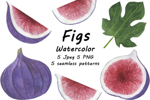 Fig Fruits Watercolor Illustrations Review