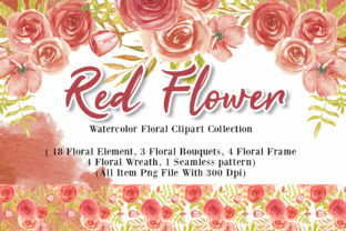 Flower Red Watercolor Illustrations Review