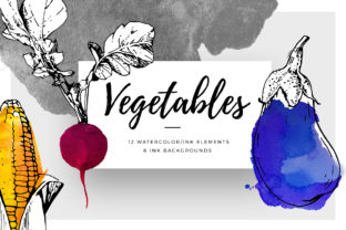 Ink Watercolour Vegetables Illustrations