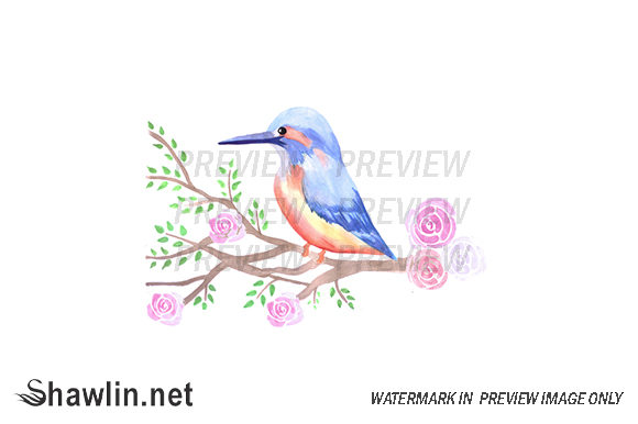 Kingfisher Roses Watercolor: A Designer Review