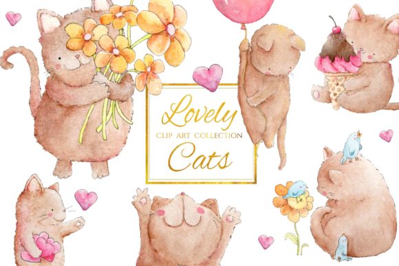 Lovely Cats Watercolor Illustrations Review