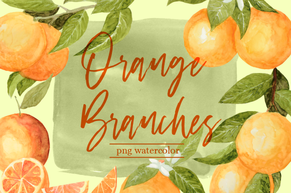 Orange Branches Watercolor Clipart Set & Illustrations