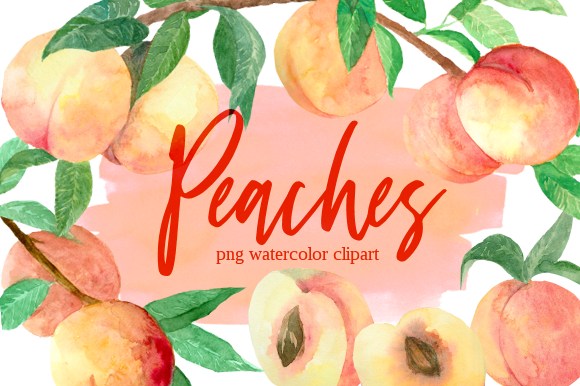 Peach Branches Watercolor Clipart Set & Illustrations