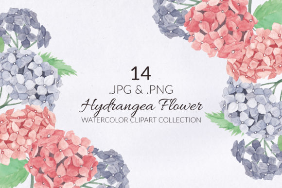 Review: 14 Hydrangea Flower Watercolor Set