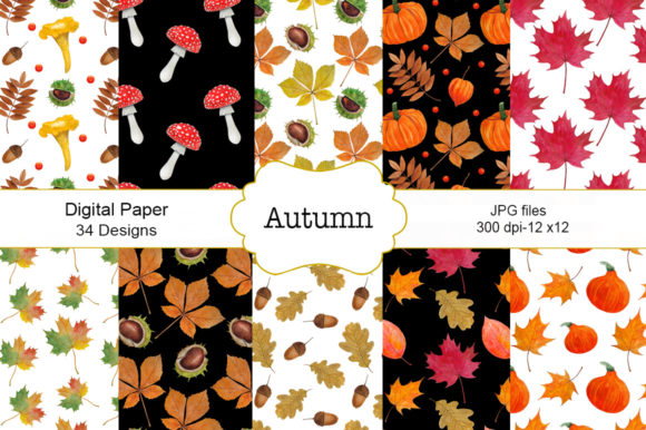 Seamless Pattern Autumn Watercolor & Illustrations