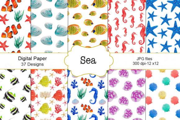Seamless Pattern Fish Sea Watercolor Illustrations