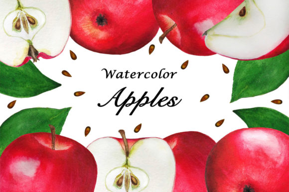 Set Apples Watercolor Illustration Review
