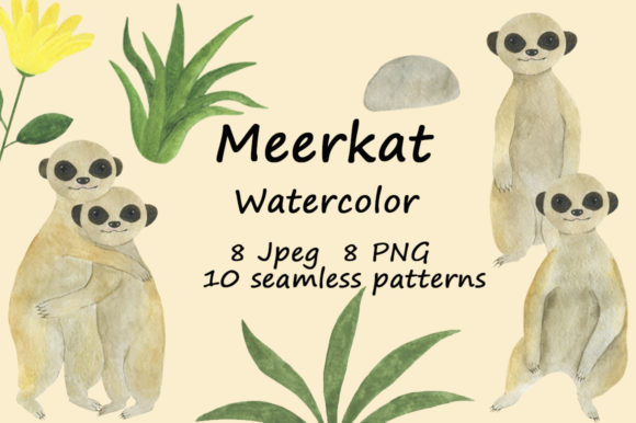Set Meerkats Illustrations Watercolor Review