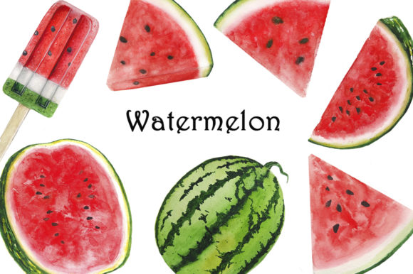Set Watermelon Watercolor Illustration Review