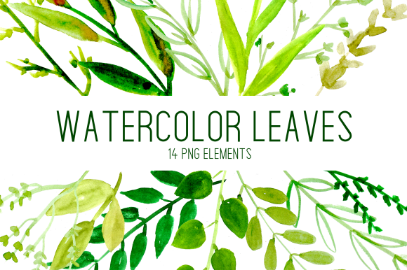 Simple Watercolor Leaves Clipart Set Review