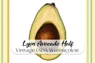 Vintage Lyon Avocado Half Watercolor Review