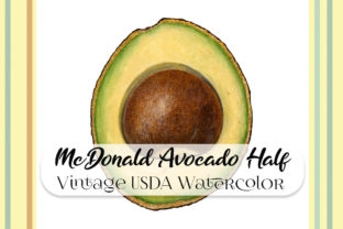 Vintage McDonald Avocado Half Watercolor Illustrations