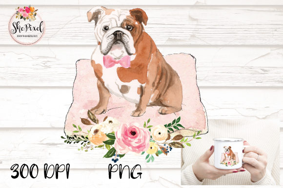 Watercolor Bulldog Transparent Illustrations Review