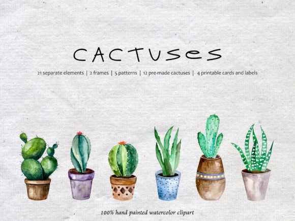 Watercolor Cacti & Succulent Illustrations