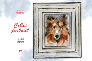 Watercolor Collie Portrait: Brand Illustrations