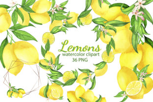 Watercolor Lemon Clipart & Illustrations Review