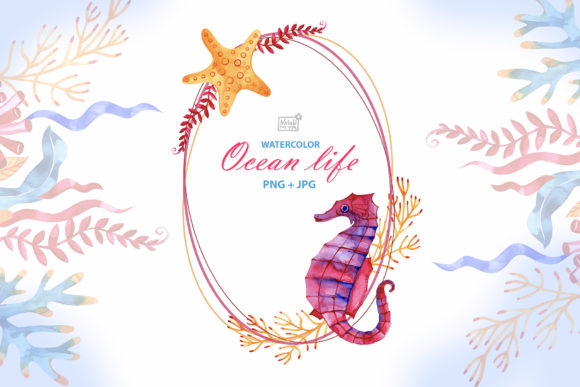 Watercolor Ocean Life Illustrations Review