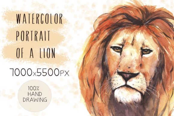 Watercolor Portrait of a Lion: A Designer Review