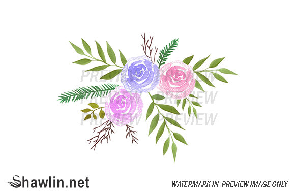 Watercolor Roses Bouquet Pink Illustrations