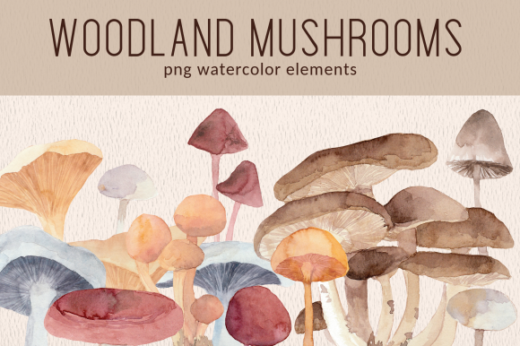 Woodland Forest Mushrooms Watercolor Set Illustrations
